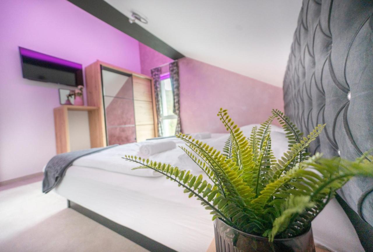 Resort Timaja - Pool, Massage Pool, Sauna Trebnje 外观 照片